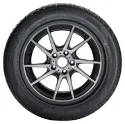 Tomket 205 55 R16 94H Snowroad Pro 3 XL 15233369
