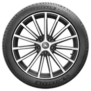 MICHELIN 205 55 R19 97H E Primacy XL R RG SS 15386463