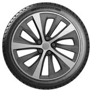 Austone 245 45 R18 100Y SP 401 XL FSL 15392650