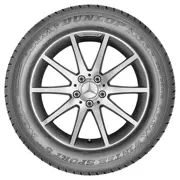 Dunlop 255 50 R19 107V Winter Sport 5 SUV XL MFS 15198183