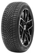 Delinte 205 55 VR16 94V AW6 XL 15426314