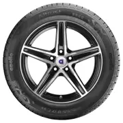 Apollo 205 65 R16C 107T 105T Altrust Winter 15455040